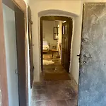 Nadteto Napsugar * Pécsely