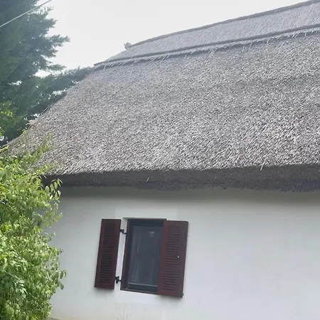 Nadteto Napsugar Case de vacanță