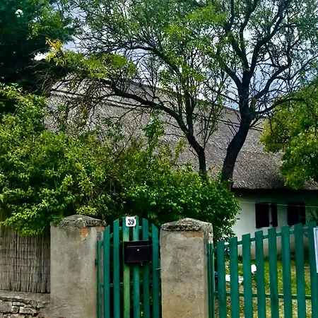 Nadteto Napsugar
