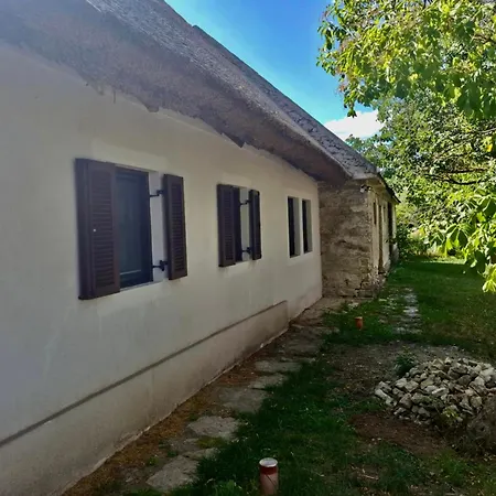 Nadteto Napsugar - 