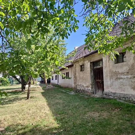 Nadteto Napsugar Case de vacanță